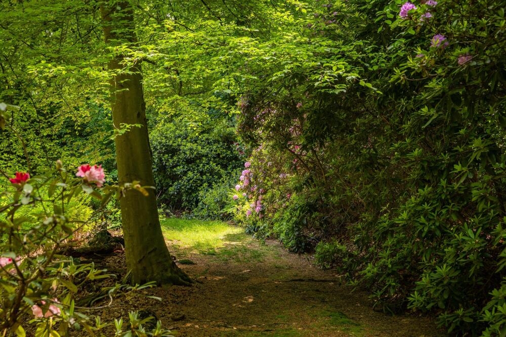 Foto 53 1000w